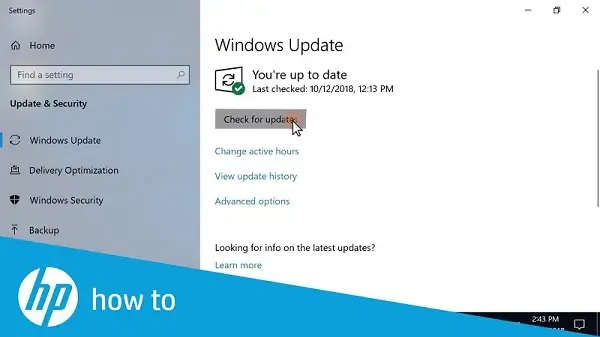 Install the Windows Updates